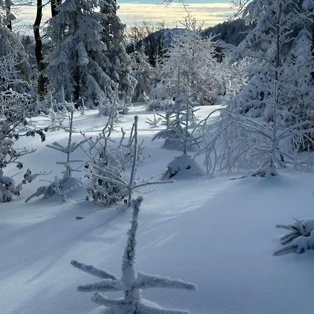 Enduro Spot - Pod Kozia Gora Bielsko-Biała