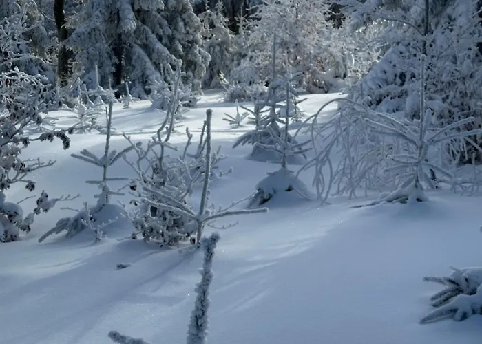 Enduro Spot - Pod Kozia Gora ביילסקו-ביאלה